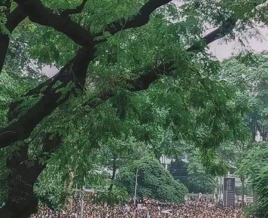 ৩ রা আগস্ট,মহাসমাবেশ।