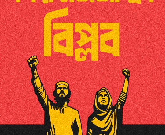 গণক্ষমতাতান্দ্রিক বিপ্লব, পোস্টারঃ দেবাশীষ চক্রবর্তী