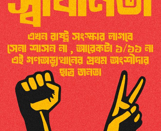 স্বাধীনতা - এখন রাষ্ট্র সংস্কার লাগবে, পোস্টারঃ দেবাশীষ চক্রবর্তী