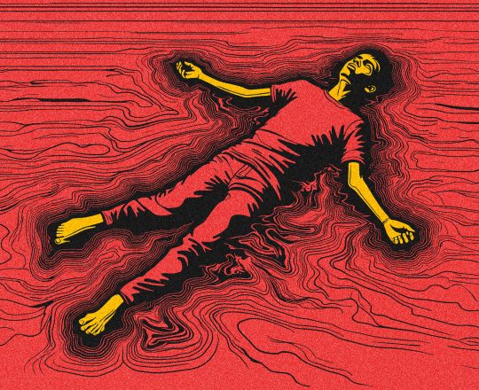 রাষ্ট্রীয় সম্পদ, পোস্টারঃ দেবাশীষ চক্রবর্তী