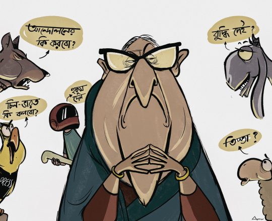 স্বৈরাচারের থিংকট্যাংক, কার্টুনঃ Apu's Cartoon