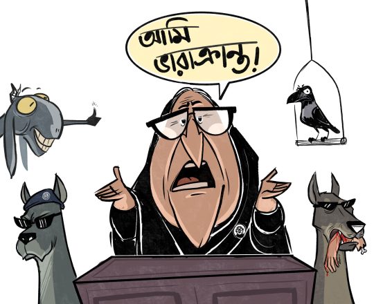 আমি ভারাক্রান্ত, কার্টুনঃ Apu's Cartoon