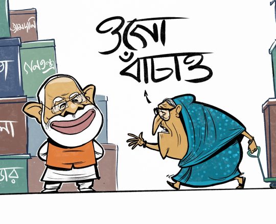 ওগো বাঁচাও, কার্টুনঃ Apu's Cartoon