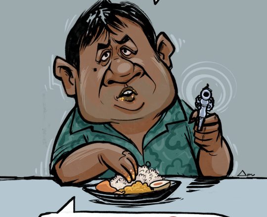 তুর দাওয়াত আমার হোটেলে, কার্টুনঃ Apu's Cartoon