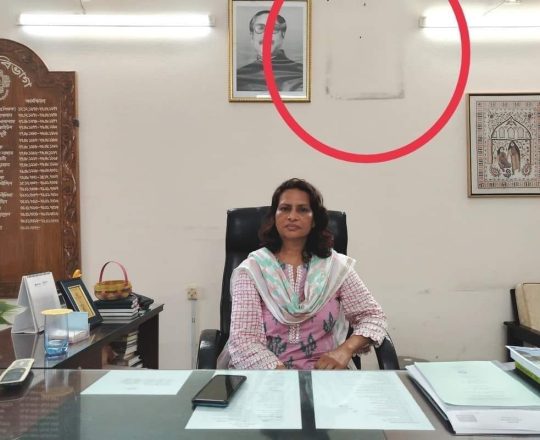 অফিস কক্ষ থেকে প্রধানমন্ত্রীর ছবি নামিয়ে ফেললেন জাবি অধ্যাপক।